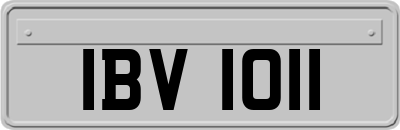 IBV1011