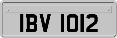 IBV1012