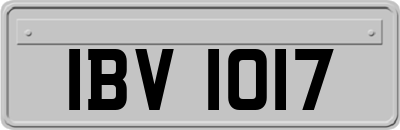 IBV1017