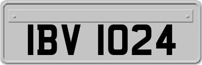 IBV1024