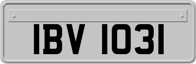 IBV1031