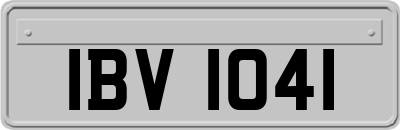 IBV1041