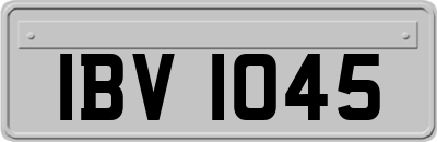 IBV1045