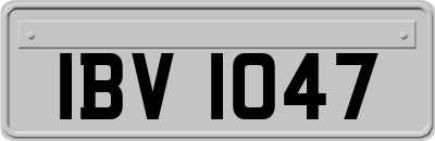 IBV1047