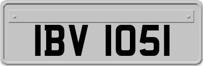 IBV1051