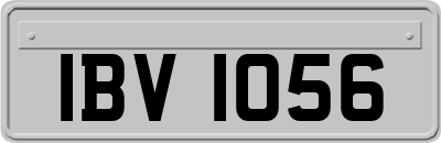 IBV1056