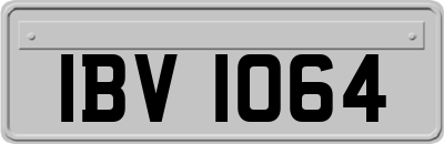 IBV1064