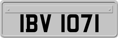 IBV1071