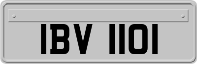 IBV1101