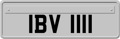 IBV1111