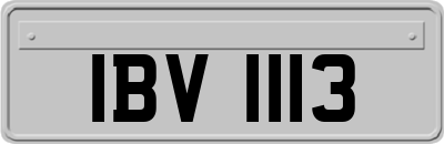 IBV1113