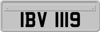 IBV1119