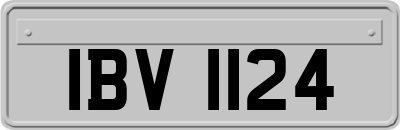 IBV1124