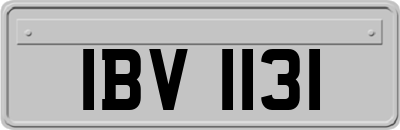 IBV1131