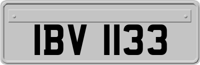 IBV1133