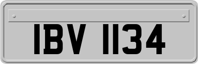 IBV1134