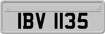 IBV1135