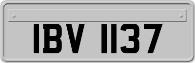 IBV1137