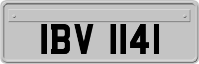 IBV1141