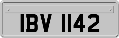 IBV1142