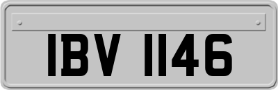 IBV1146