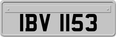 IBV1153
