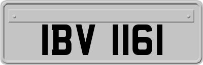 IBV1161