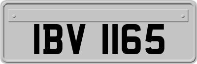 IBV1165