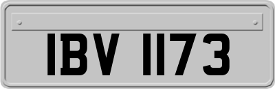 IBV1173