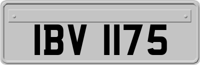 IBV1175