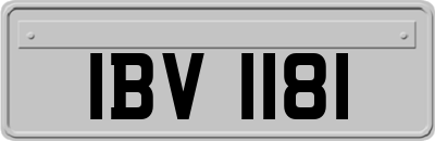 IBV1181