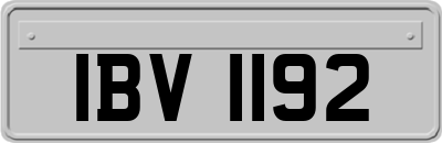 IBV1192
