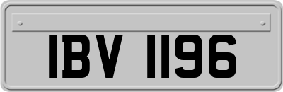IBV1196