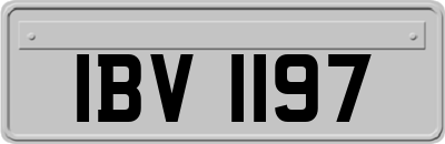 IBV1197