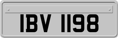 IBV1198