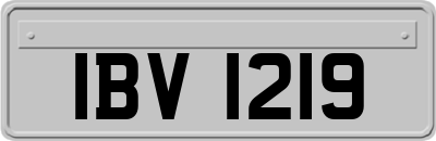 IBV1219