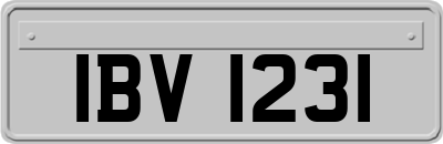 IBV1231