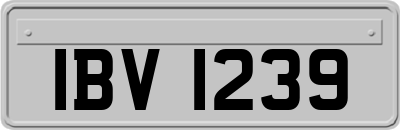 IBV1239