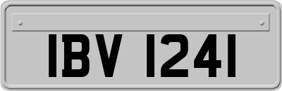 IBV1241