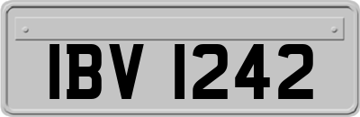 IBV1242