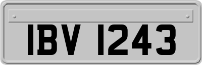 IBV1243