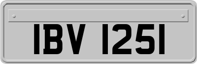 IBV1251