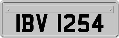 IBV1254