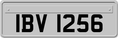IBV1256