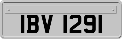 IBV1291