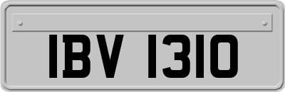 IBV1310