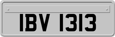 IBV1313
