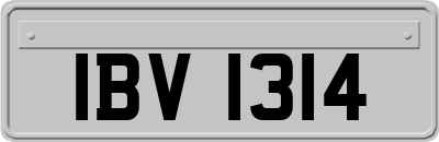 IBV1314
