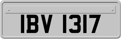IBV1317