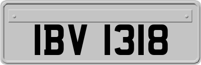 IBV1318